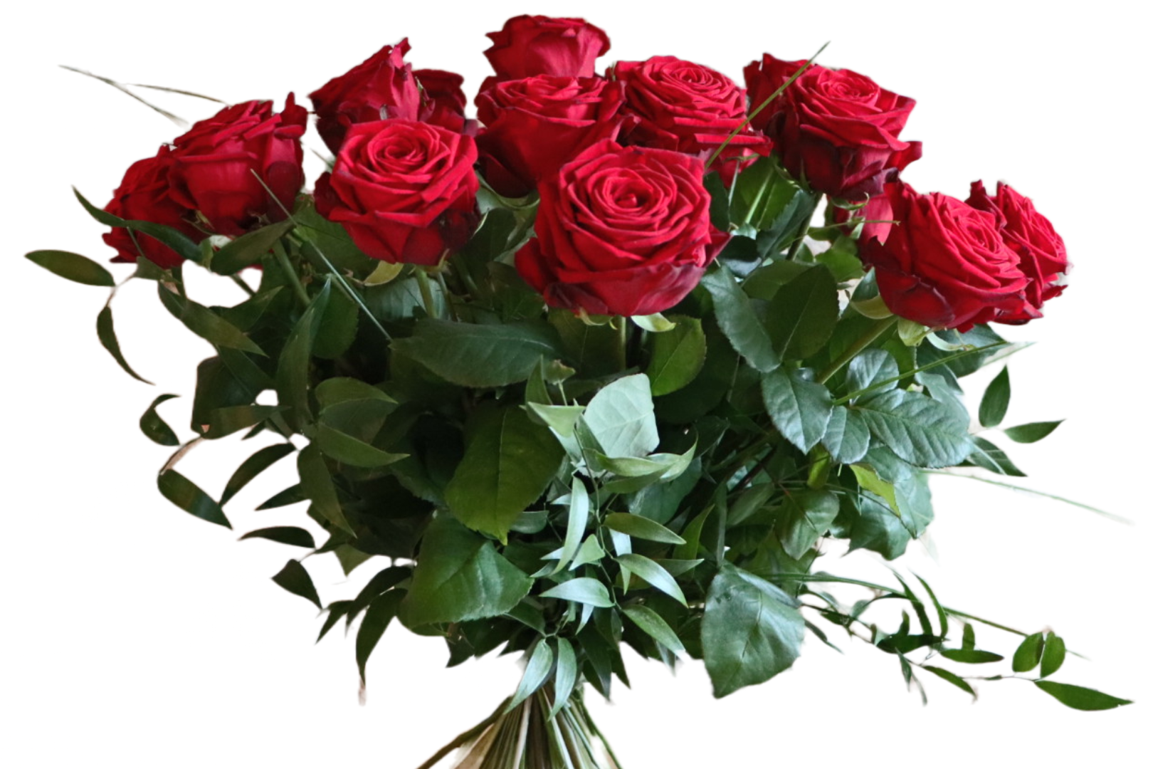 Røde roser – Anisimow Blomst